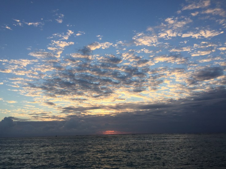 DB692314-103D-4358-83FB-236AAB50D7E5